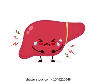 12,294 Cartoon Liver Royalty-Free Photos and Stock Images | Shutterstock