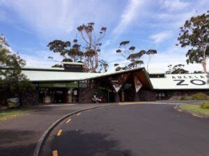 Best 8 things to see and do in Auckland Zoo