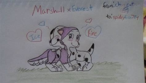 Marshall x Everest,to spideyfan784 by Chyecutest on DeviantArt (With images) | Everest, Paw ...