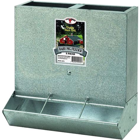 Little Giant BPF3 Heavy Duty Mountable 3 Hole Baby Piglet Livestock ...