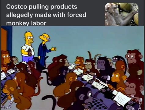 Monkey labor : r/memes