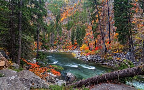 Slope, trees, rocks, river | Autumn forest, Nature, Nature images