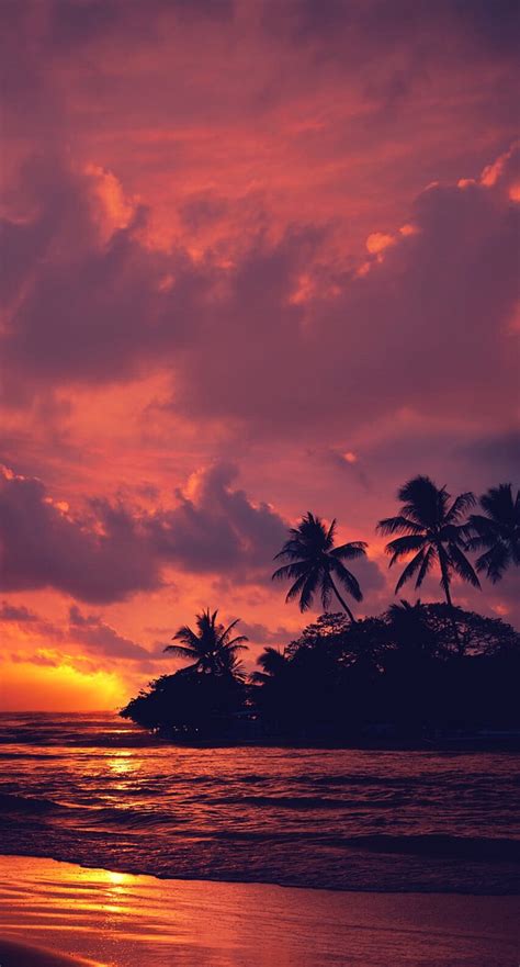 HD wallpaper: coconut trees, nature, landscape, water, clouds, beach ...