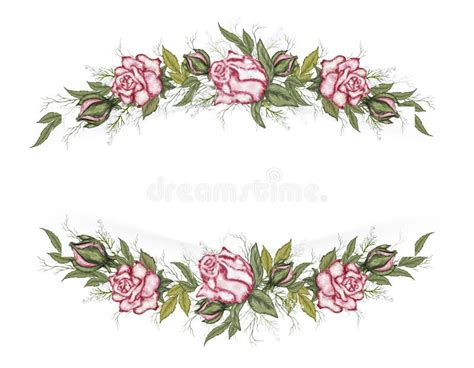 Banner of Pink Roses, Leaves with Space for the Text. Hand-drawn ...