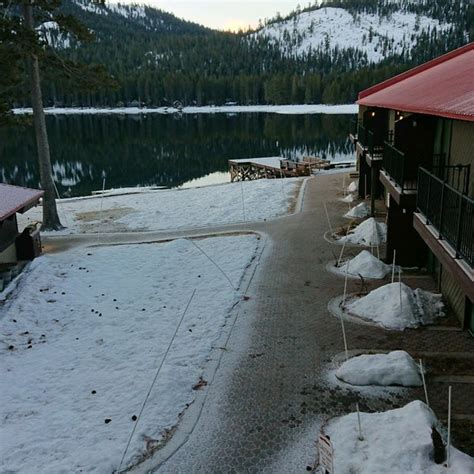 Are Dogs Allowed At Donner Lake Village