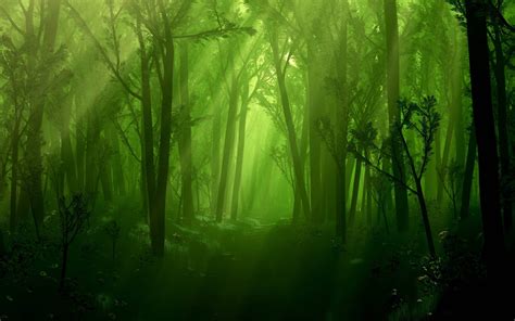 Enchanted Forest Backgrounds - Wallpaper Cave