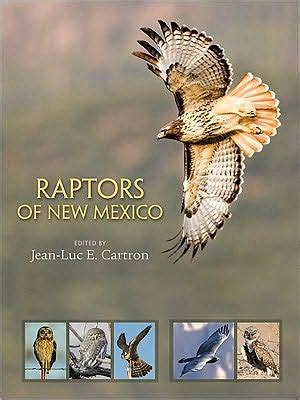 Birder Alert: New Book Focuses On New Mexico Birds Of Prey - Southwest ...