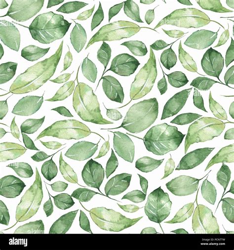 Floral pattern. Seamless background with green watercolor leaves Stock Photo - Alamy