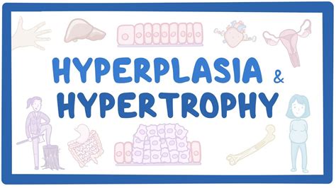 Hyperplasia and hypertrophy: Video, Causes, & Meaning | Osmosis