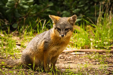 Channel Islands National Park | Russ Bishop Photography | Nature Photo Blog