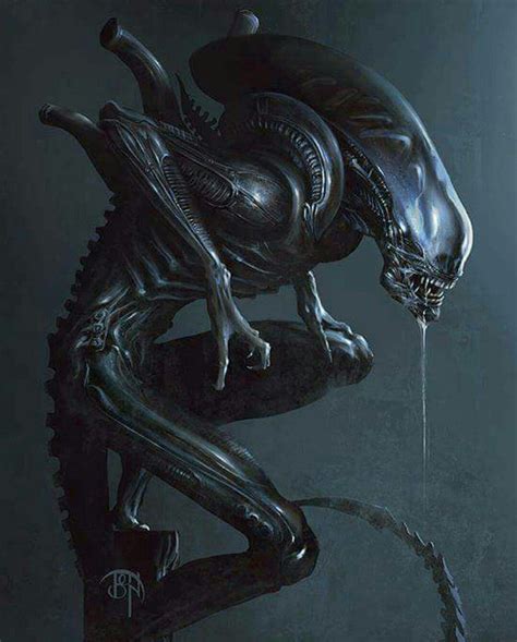 Alien Xenomorph by Benny Kusnoto | Alien vs predator, Giger alien ...