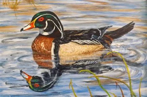 "Wood Duck" acrylic painting; 2013 Duck Drawing, Cute Ducklings, Wood Ducks, Bird Feathers ...