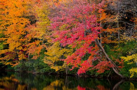 New England Fall Foliage Wallpaper - WallpaperSafari