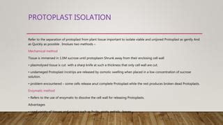 Protoplast culture and isolation | PPT