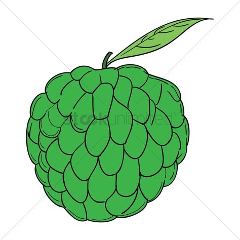 atis fruit clipart 20 free Cliparts | Download images on Clipground 2024