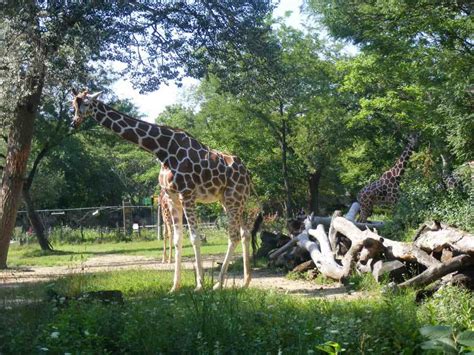 Chicago Sights: Brookfield Zoo