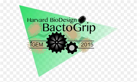 Harvard Logo Web Design, Text, Graphics HD PNG Download - FlyClipart