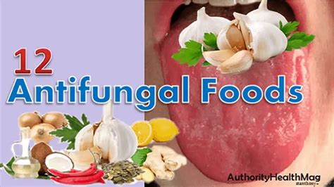 12 Antifungal Foods | Best Anti-Candida Diet Food List