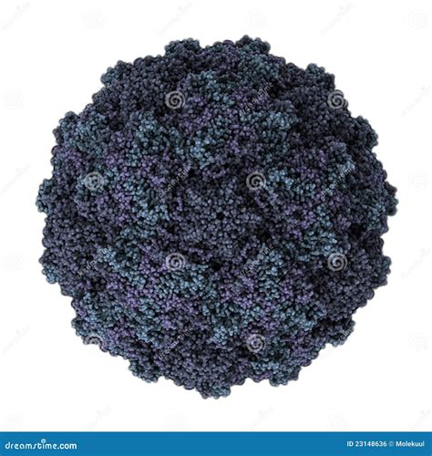 Human Rhinovirus Royalty Free Stock Image - Image: 23148636