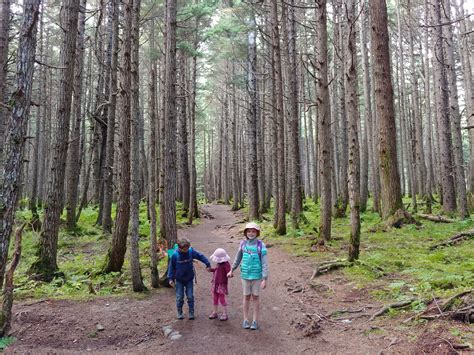 Hiking in Girdwood • earthnomads