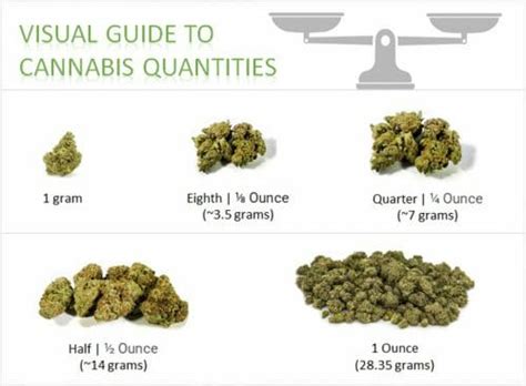 How Much is an Ounce of Weed? Measurement, Slang, Price, Legality