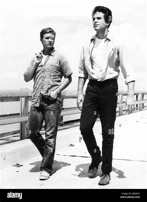 ALL FALL DOWN, from left: Brandon De Wilde, Warren Beatty, 1962 Stock Photo - Alamy