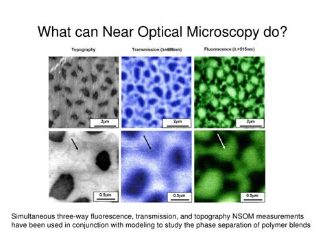 PPT - Near-field Scanning Optical Microscopy (NSOM) PowerPoint Presentation - ID:4684527