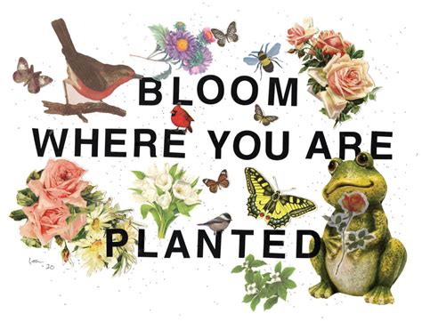 Simply Lou: Bloom Where You Are Planted | BayouLife