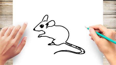 How to Draw Mouse - YouTube