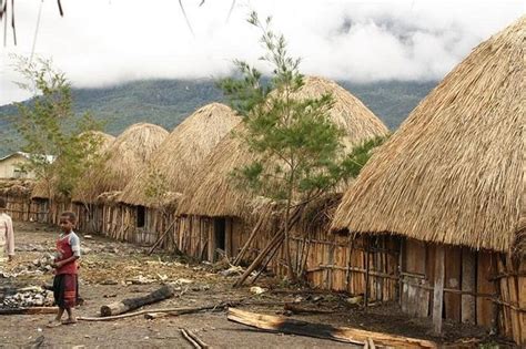 Rumah adat honai - Papua | Rich Indonesia Etnic House | Pinterest ...