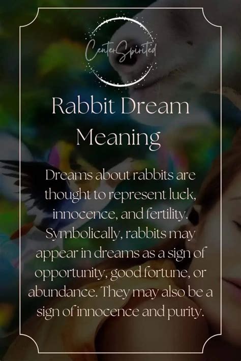 Rabbit Dream Meaning, Symbolism & Interpretation