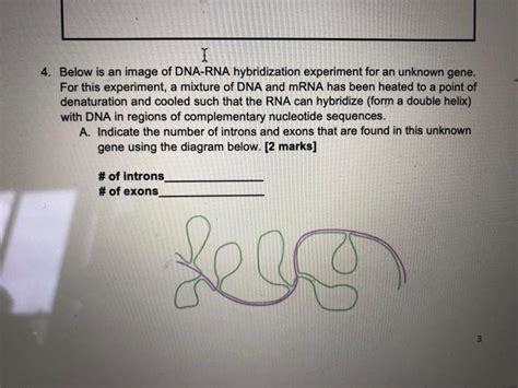 Solved I 4. Below is an image of DNA-RNA hybridization | Chegg.com