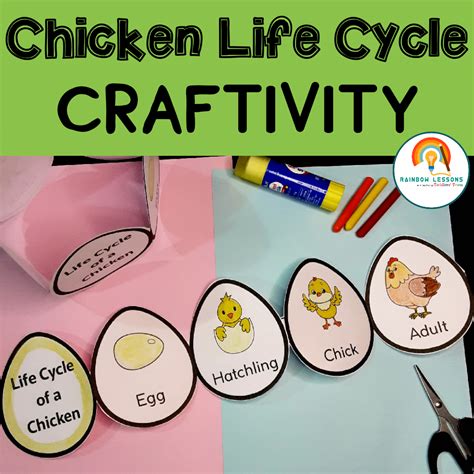 Life Cycle Of A Chicken Craft