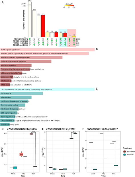 TDRD7 modulates IFN response. The transcriptional response and induced ...