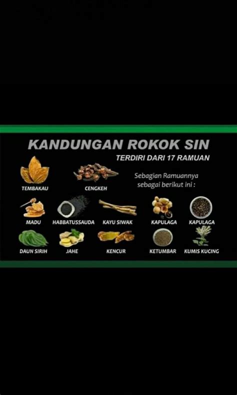 Rokok Herbal Sin Provost 19, Kesehatan & Kecantikan, Perawatan Pria di ...