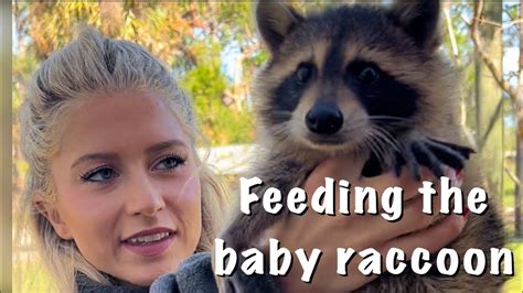 Feeding baby RACCOON! - YouTube