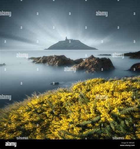 Sea stacks and coastal landscape, County Cork, Ireland Stock Photo - Alamy