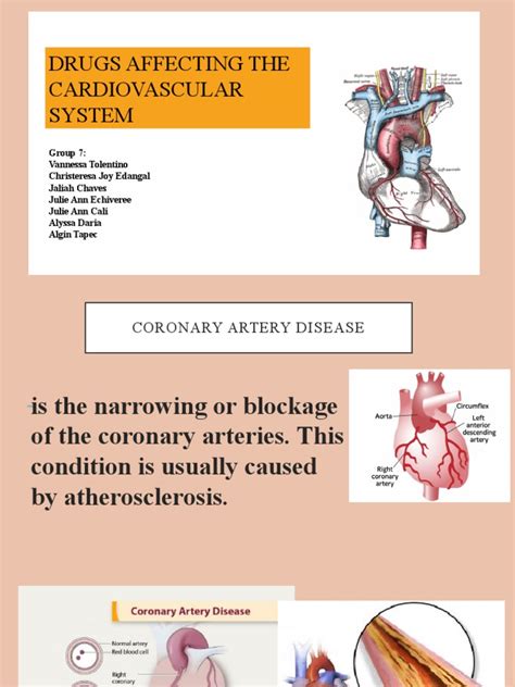 Drugs Affecting The Cardiovascular System: Group 7 | PDF | Coronary ...