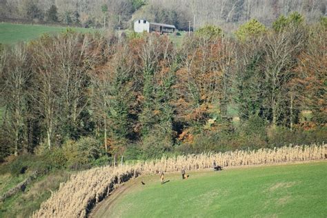 Beaters above a shoot © David Martin :: Geograph Britain and Ireland