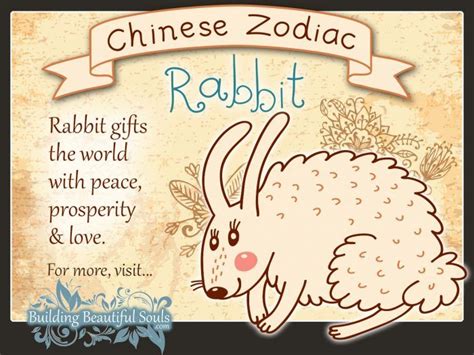 Chinese Zodiac Rabbit Child Personality & Traits | Chinese Zodiac for Kids