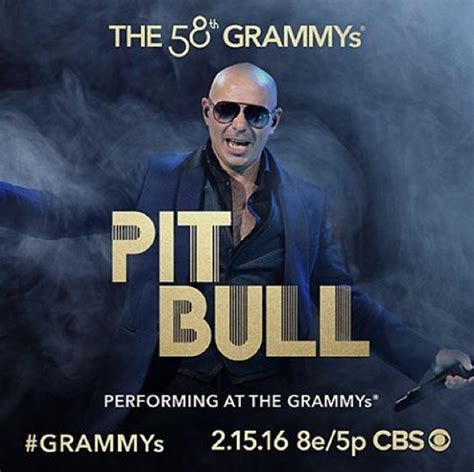 Haute 100: Pitbull to Perform at the 58th Annual Grammy Awards