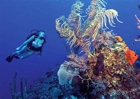 Scuba Diving Atlantis Reef Ponta Do Ouro Maputo Mozambique