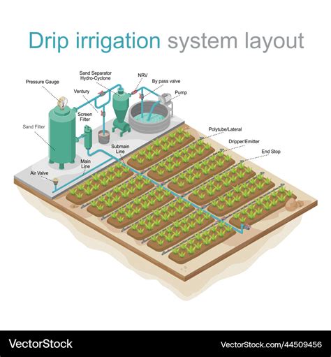 Drip irrigation system layout isometric Royalty Free Vector