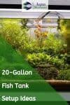 20 Gallon Fish Tank Setup Ideas | Aqua Movement