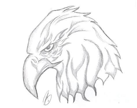 Eagle Head Drawing Drawing by Minding My Visions by Adri and Ray