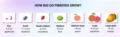 What Is Considered a Large Fibroid? Fibroid Size Chart