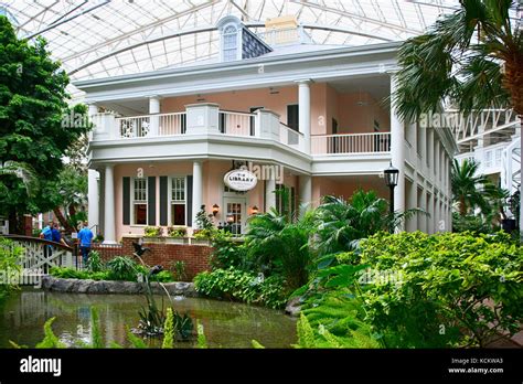 The Library in the botanical garden style Gaylord Opryland hotel resort ...