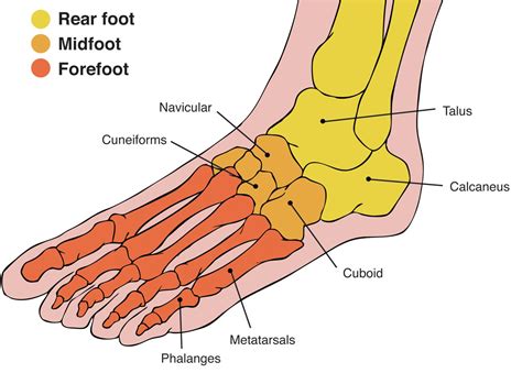 Why Does the Top of My Foot Hurt? - Watsonia Podiatry