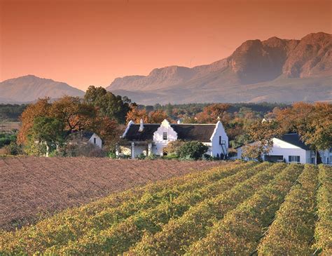 The Cape Winelands