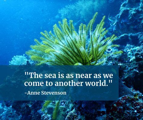 7 Coral Reef Quotes ideas in 2021 | coral reef, reef, coral